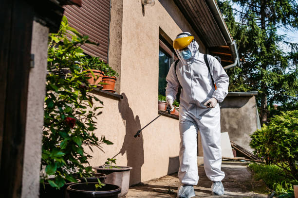 Best Emergency Pest Control  in Limestone Creek, FL