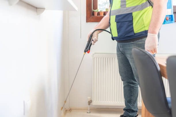 Best Bed Bug Extermination  in Limestone Creek, FL