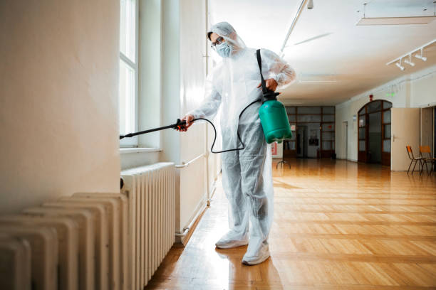 Best Mosquito Control Services  in Limestone Creek, FL