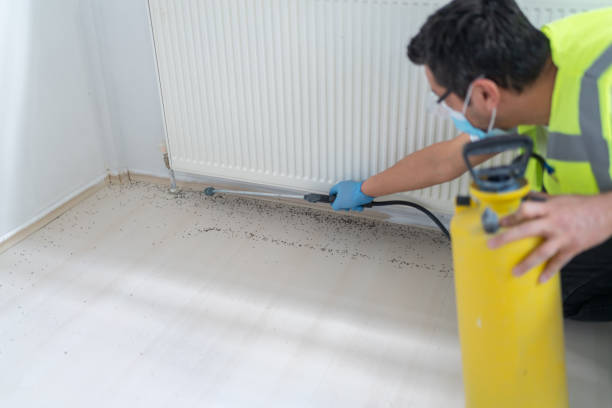 Best Emergency Pest Control  in Limestone Creek, FL